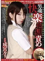 男魂快楽地獄責め 〜戦慄のマルチプル・オーガズム研究所〜 第十四巻 成宮ルリ