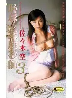 Disgraceful Tutor 3 Sora Sasaki 