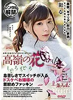 高嶺の花 しどろもどろ 一条みお