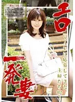 Slutty Housewife Collection- Regular Homemakers Do Porn 02