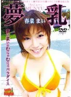 Dream Breasts Mai Haruna