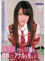 I raped the girl I kidnapped at AKIBA and raped her anally.