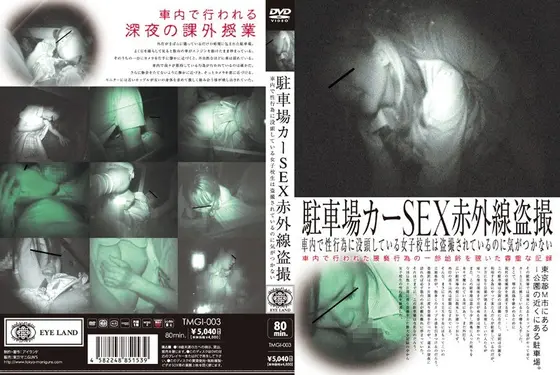 駐車場カーSEX赤外線盗撮