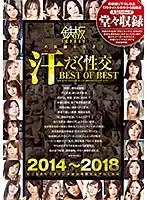2014〜2018 鉄板の真髄を見よ！汗だく性交 BEST OF BEST