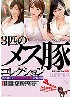 3匹のメス豚コレクション