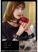 美人魔女COLLECTION Vol.10（2枚組）