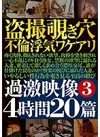 盗撮覗き穴不倫浮気ワケアリ過激映像 3 4時間20篇