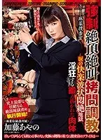 【プレイバック】監禁！拷問！調教！絶叫！絶頂！ 強●絶頂絶叫拷問調教 エリート麻薬捜査官 涙の快楽波状悶絶地獄 淫狂する鍛え抜かれた肉体 加藤あやの【アウトレット】