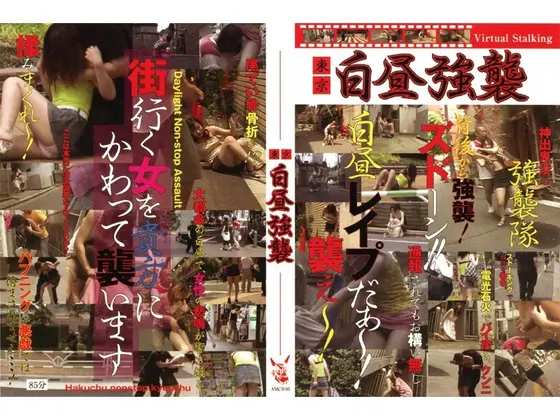 東京 白昼強襲