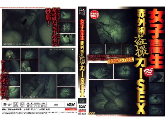 女子校生赤外線盗撮カーSEX