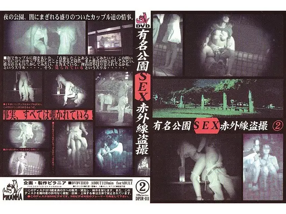有名公園SEX赤外線盗撮 2
