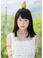 Kotori Morino's AV Debut