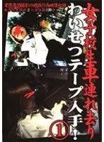 女子校生車連れ去り わいせつテープ入手！ 1