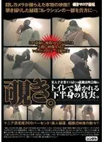 覗き。 某大手企業・TV局での就職説明会場のトイレで暴かれる下半身の真実。