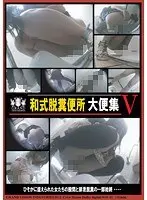 Shitting in the Japanese Style Toilet, Shit Collection 5