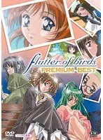 flutter of birds PREMIUM BEST
