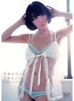 発熱の花びら 糸島まひろ