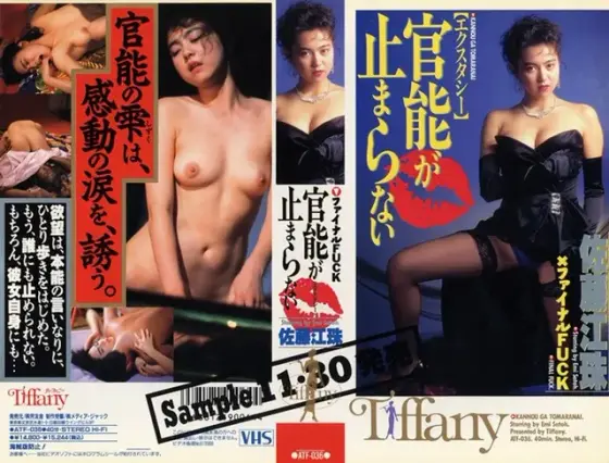 My Senses Won't Stop Emi Sato