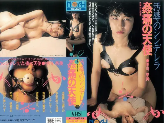 A Shameful Cinderella, An Adulterous Angel Nami Nakagawa