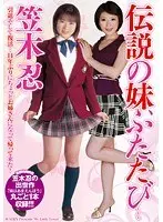The Legendary Little Sister Again... Shinobu Kasagi