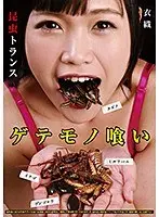 ゲテモノ喰い 昆虫トランス 衣織