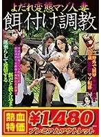 【アウトレット】よだれ変態マゾ人妻 餌付け調教 桐島美奈子