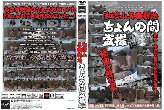 Wakayama Ten** Shinchi Korean Voyeur.