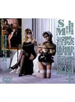 The Great Climax Selection: Mai Sakurazuki 12 in a row!
