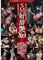 SM好辞艶 16