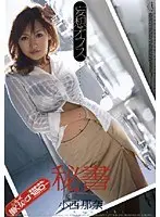 Daydream Office Secretary Side Nana Konishi