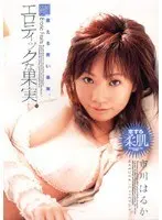 I want to be fucked by a beautiful lady's lewd hip shaking! 8 hours (2-disc set)
