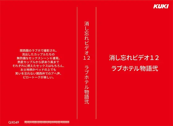 Videos I Forgot To Delete 12--Love Hotel Story 2