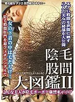 ZKID-02 Groin pubic hair encyclopedia 2