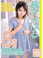 葵こはる 8時間 SPECIAL COLLECTION