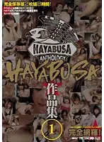 HAYABUSA Collection 1