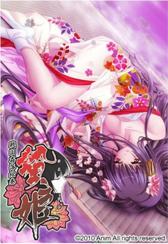 贄姫-戦国姦落絵巻- （DVDPG）