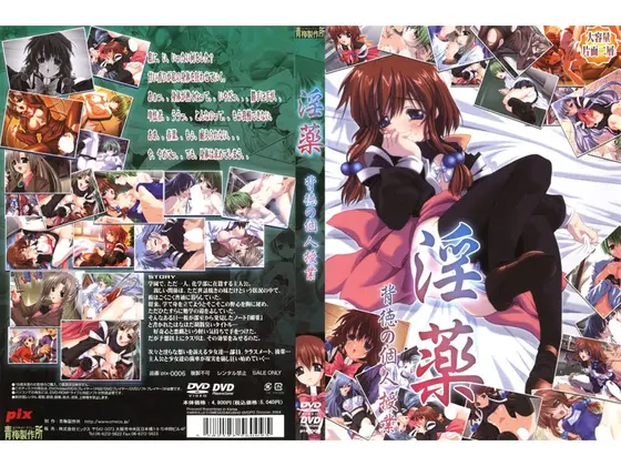 淫薬 〜背徳の個人授業〜 DVDPG Edition （DVDPG）