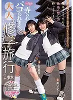 どうせ陰キャなお前ら修学旅行くそだったんだろ？陽キャなうちらが最高の思い出作ってやんよ！一日中弄られパコられまくった大人の修学旅行in東京 石原希望 葵いぶき