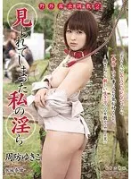野外露出調教2 見られてしまった私の淫ら 周防ゆきこ 水城奈緒