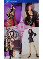 クインズセレクション VI