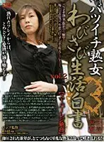 Wabisabi Lifestyle White Paper vol. 2