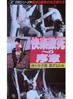 快楽致死への序章 深沢るみね