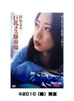杉山圭の巨乳メス豚市場