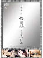 《Moving Vinyl Book》 Ginkaku G Model Tsubomi