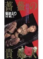 Lady Of The Rose Eri Kikuchi