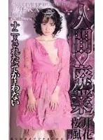Human Business Cessation Fuka Sakurai 