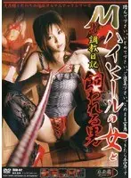 Masochist Man's Breaking In Diary - High Heeled Woman Fucked by a Man vol. 2