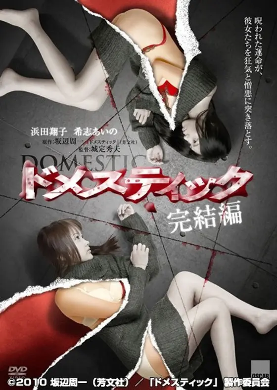Domestic Final Chapter