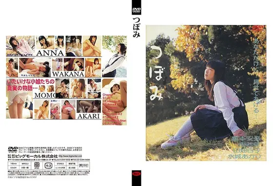 つぼみ （DOD）