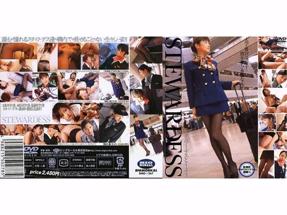 スチュワーデスとしよう STEWARDESS